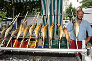 Steckerfisch auf dem Bayernmarkt 2009 (Foto: Ingrid Grossmann)